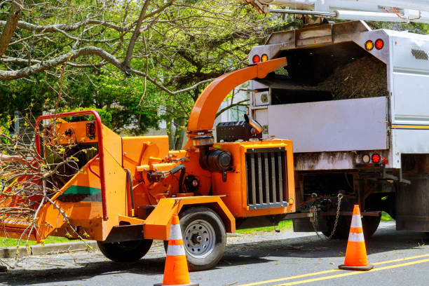 Trusted Buffalo Grove, IL Tree Removal and Landscaping Services Experts